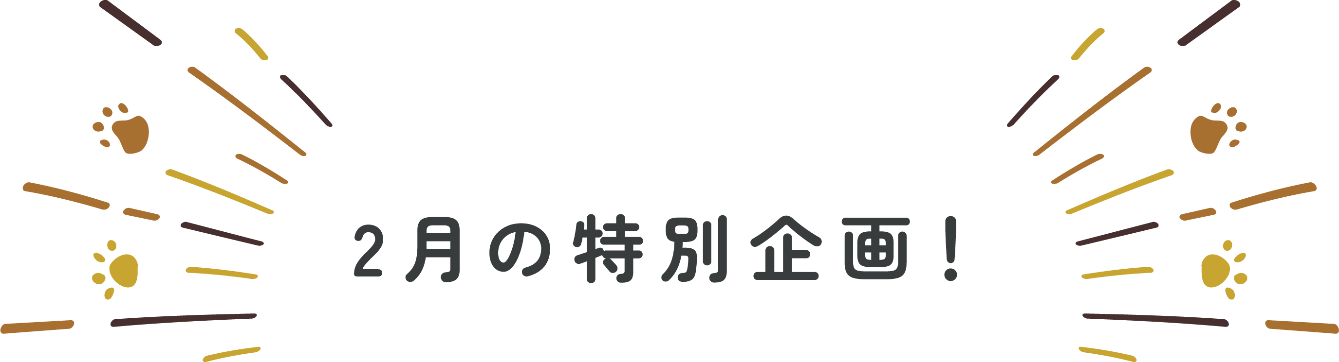 2/22（日）は