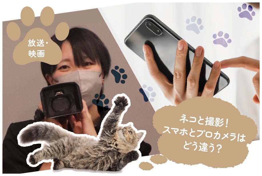 【来校】ネコと撮影！スマホとプロカメラはどう違う？（放送・映画学科）