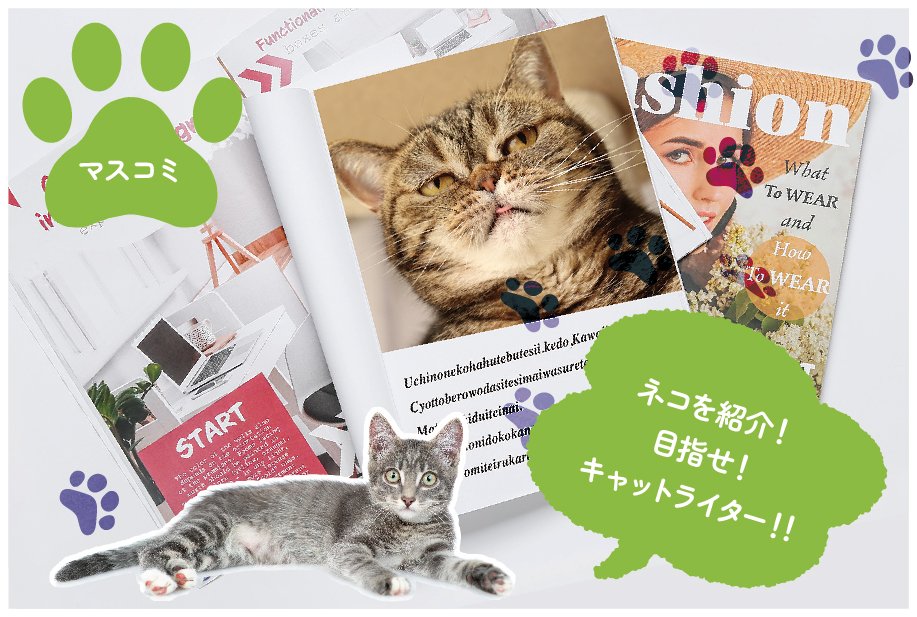 【来校】ネコを紹介！「目指せ！キャットライター！！」（マスコミ出版・芸能学科）