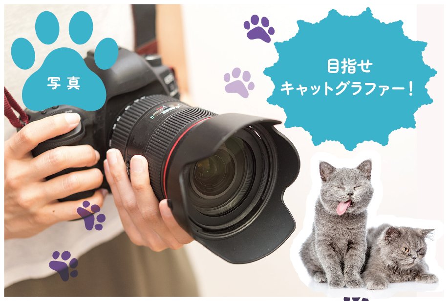 【来校】ネコを撮影！目指せキャットグラファー！（写真学科）
